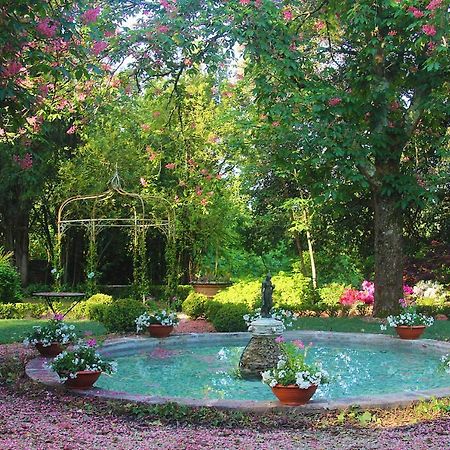 La Striscia Wine Resort Ареццо Екстер'єр фото