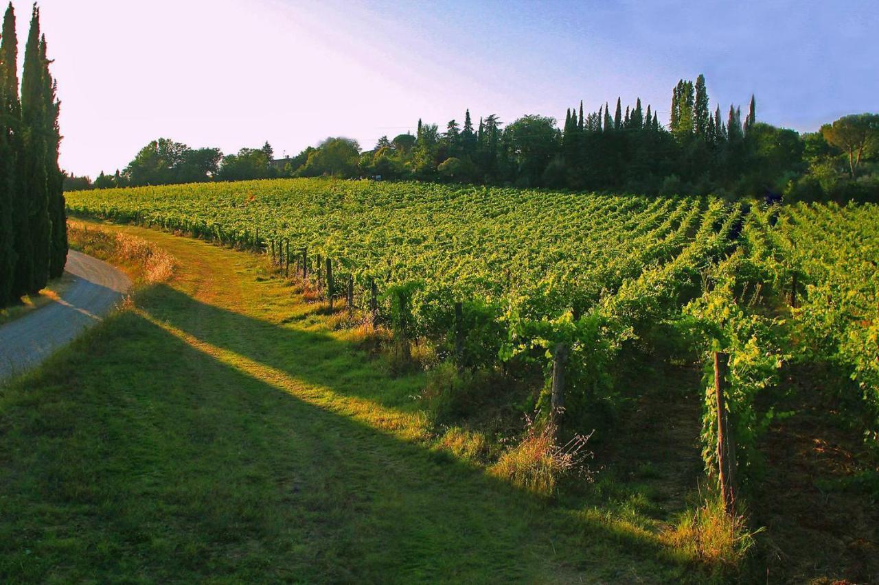 La Striscia Wine Resort Ареццо Екстер'єр фото